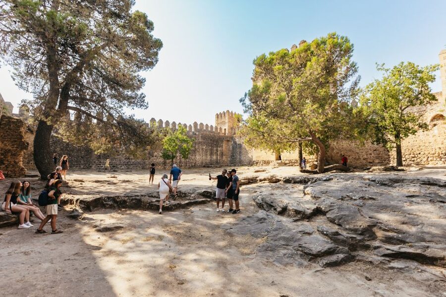 From Seville: Pueblos Blancos and Ronda Full-Day Trip - Molino El Vínculo and Andalusia’s olive oil
