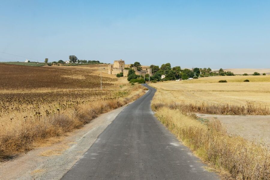 From Seville: Pueblos Blancos and Ronda Full-Day Trip - Through the Mediterranean forest toward Ronda