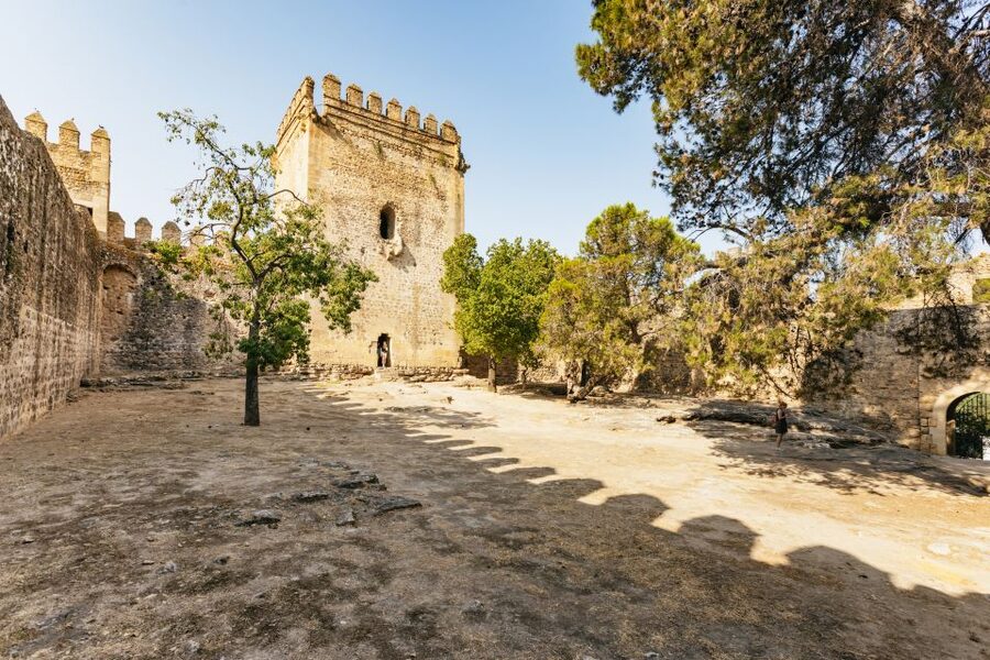 From Seville: Pueblos Blancos and Ronda Full-Day Trip - How much free time will you really have?