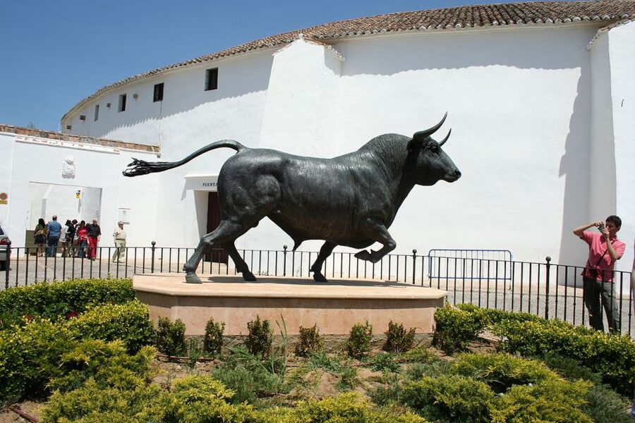 From Seville: White Villages and Ronda Full-Day Trip - The olive mill question