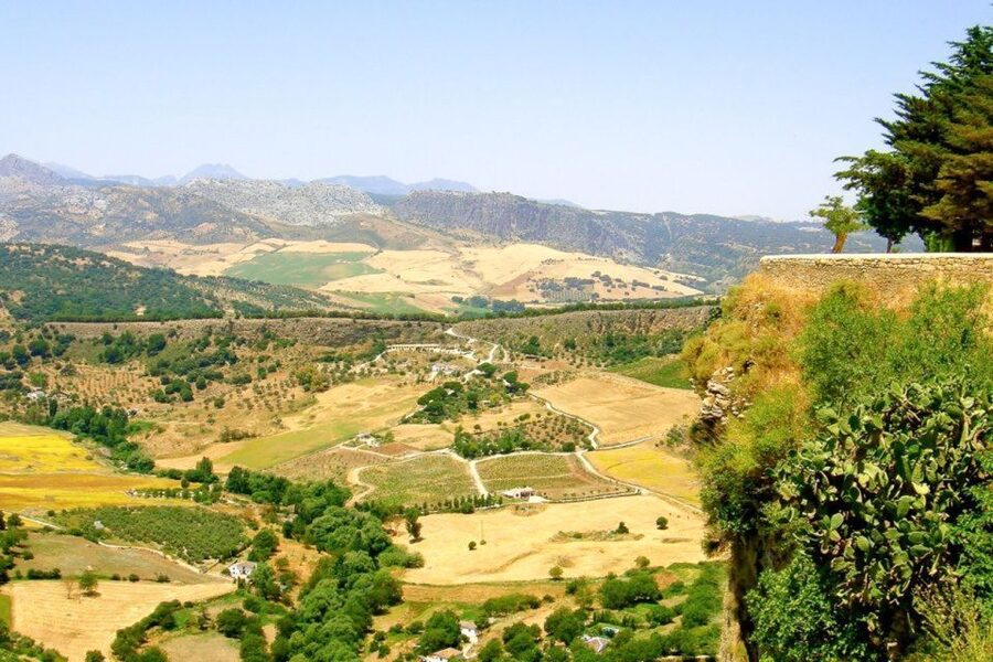 From Seville: White Villages and Ronda Tour - The guide and driver shape the whole experience