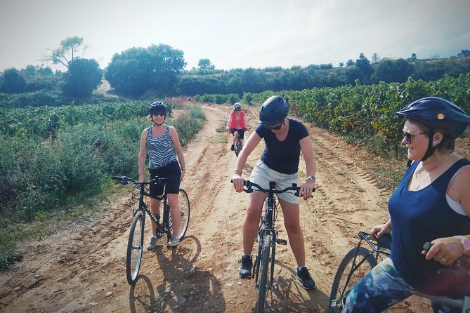 From Sitges: Bike Tour and Winery Visit with Free Hotel Pick Up. - What you get for $111.26