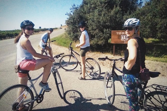 From Sitges: Bike Tour and Winery Visit with Free Hotel Pick Up. - Who will enjoy this outing most