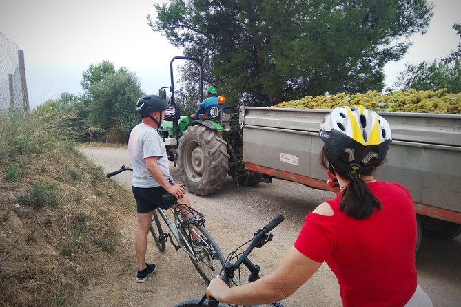 From Sitges: Bike Tour and Winery Visit with Free Hotel Pick Up. - Timing, bookings, and cancellation