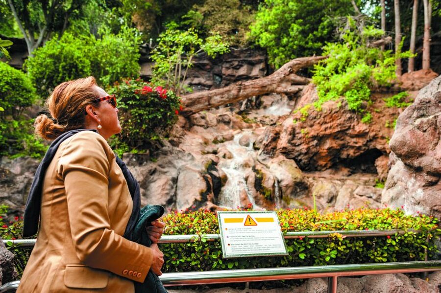 From South Tenerife: Loro Park Zoo Ticket & Hotel Transfers - Orca Ocean, dolphins, sea lions, and parrots