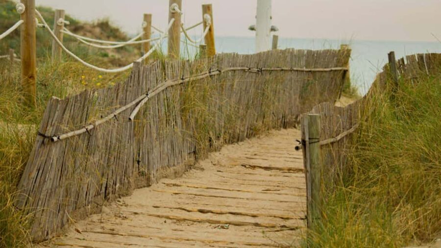 From Valencia: Albufera Day Trip with Boat Tour and Transfer - Key points at a glance
