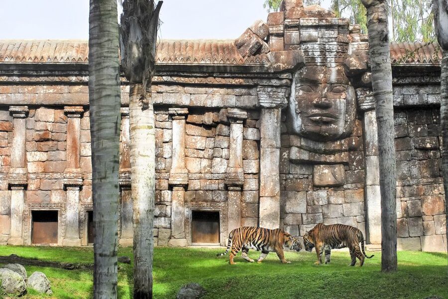 Fuengirola: Bioparc Entrance Ticket - What your $35 ticket buys you