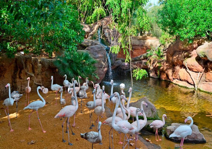 Fuengirola: Bioparc Entrance Ticket - Southeast Asia delivers tigers, Komodo dragons, and jungle atmosphere