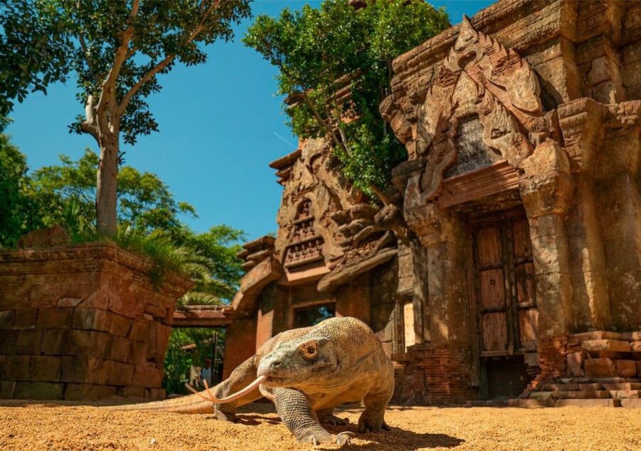 Fuengirola: Bioparc Entrance Ticket - Practical rules that protect the animals