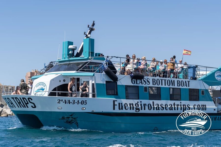Fuengirola: Catamaran Tour to Spot Dolphins - Five things to know before you book