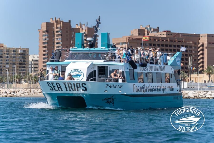 Fuengirola: Catamaran Tour to Spot Dolphins - Finding the best place to sit on the catamaran