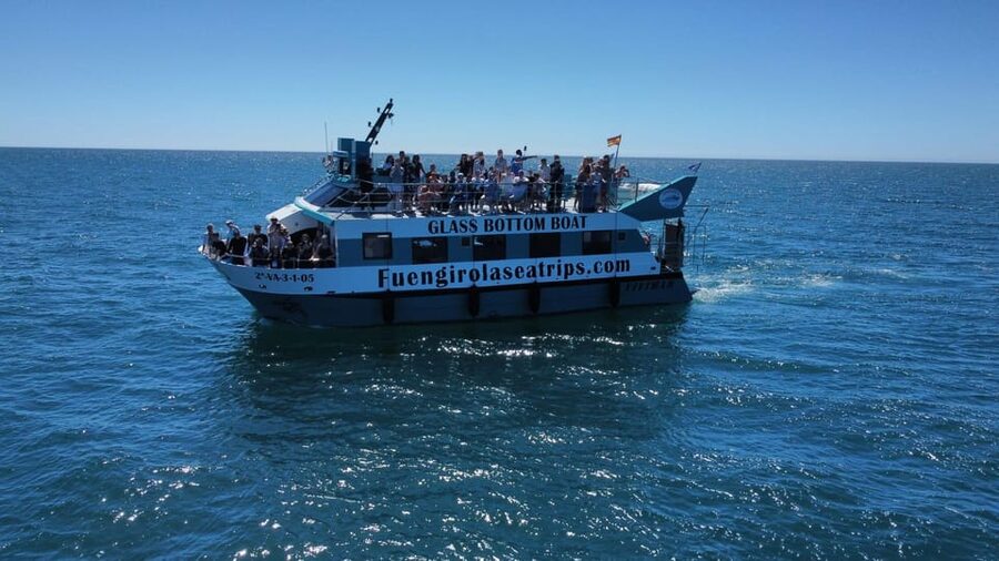 Fuengirola: Catamaran Tour to Spot Dolphins - Is the glass-bottom view worth expecting?