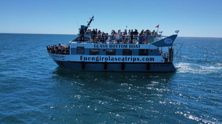 Fuengirola: Catamaran Tour to Spot Dolphins - What the two-hour route is really like