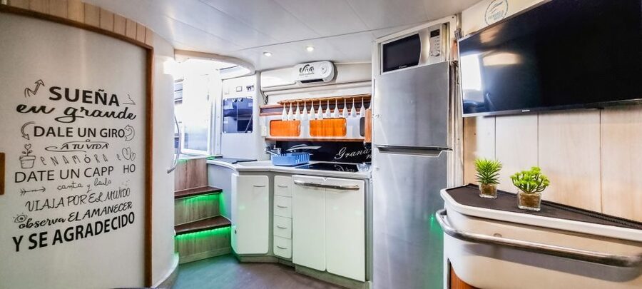 Fuengirola: Dolphin Watching by Yacht with Snacks and Drinks - A swim from the back of the yacht