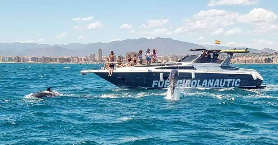 Fuengirola: Dolphin Watching by Yacht with Snacks and Drinks - Who will enjoy this Fuengirola yacht trip