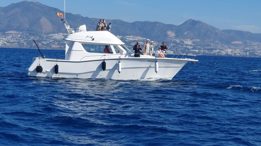 Fuengirola: Dolphin Watching Excursion with Refreshments - Is $40 good value for two hours?