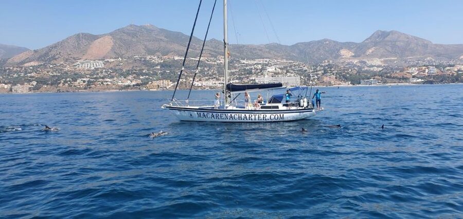 Fuengirola: Dolphin-Watching Sailing Tour with Drinks - Key points before you book