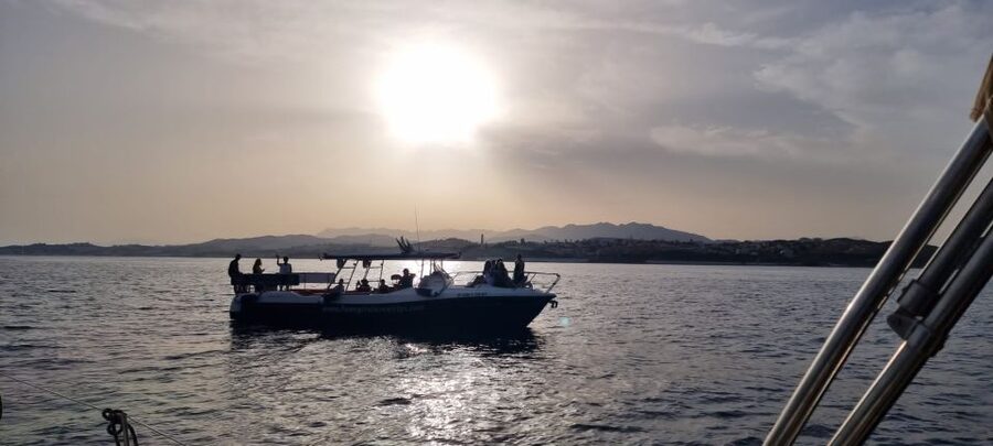 Fuengirola: Fantastic Dolphin Watching Yacht Tour with Drink - Setting out from Puerto de Fuengirola