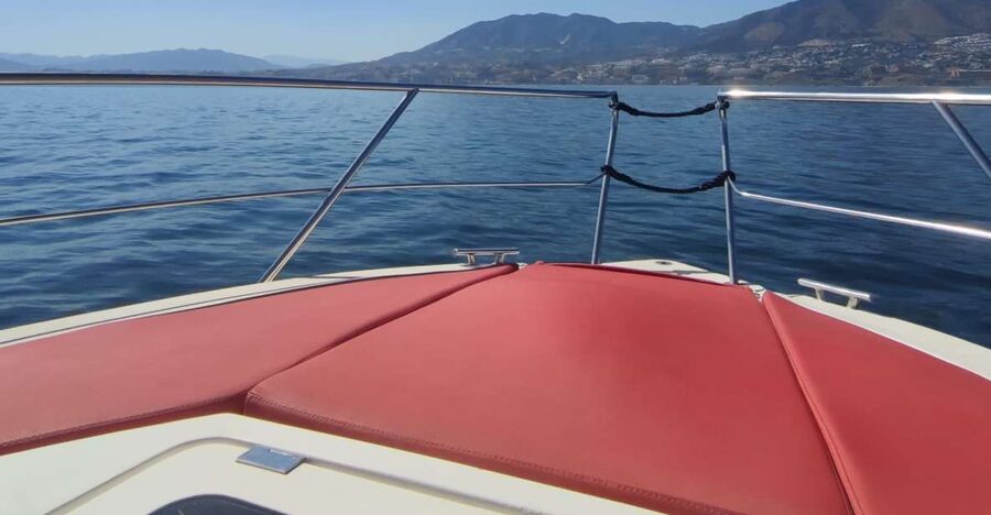 Fuengirola: Fantastic Dolphin Watching Yacht Tour with Drink - Costa del Sol views from the water