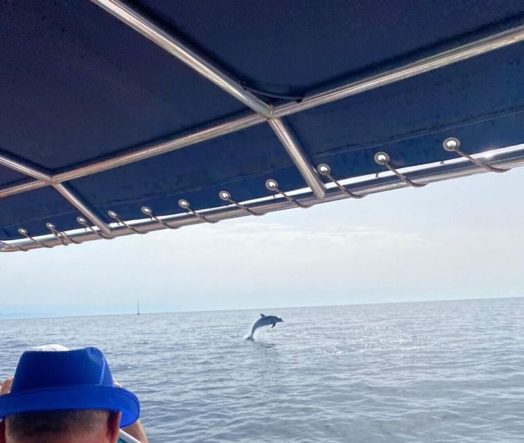 Fuengirola: Fantastic Dolphin Watching Yacht Tour with Drink - Commentary, crew style, and the feel onboard