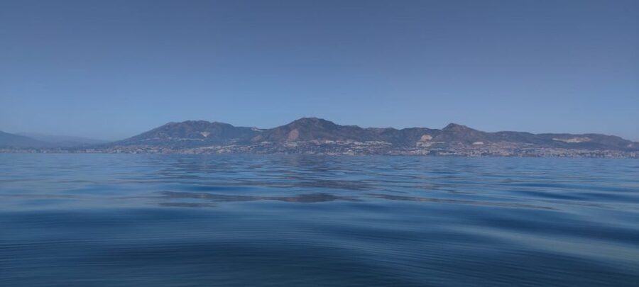 Fuengirola: Fantastic Dolphin Watching Yacht Tour with Drink - Dolphin welfare and responsible expectations