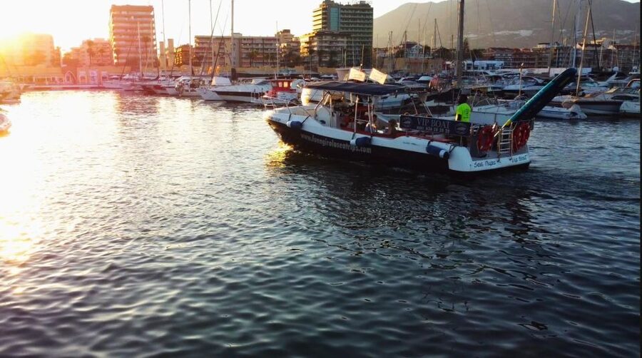 Fuengirola: Fantastic Dolphin Watching Yacht Tour with Drink - Who will enjoy this Fuengirola cruise most?