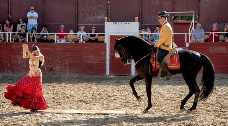 Fuengirola: Spanish Horse Show with Optional Dinner/Flamenco - Key points before you book
