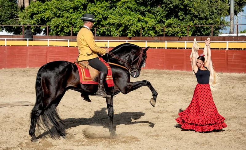 Fuengirola: Spanish Horse Show with Optional Dinner/Flamenco - A traditional Andalusian evening at Finca El Cartujano