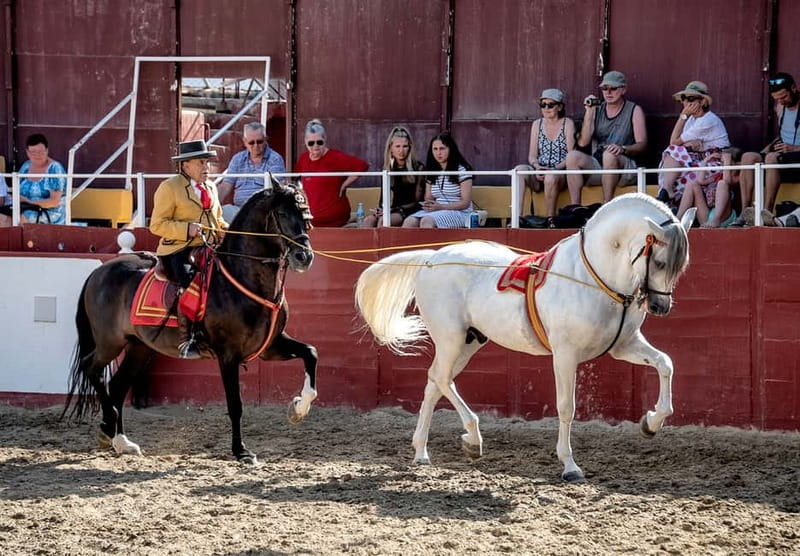Fuengirola: Spanish Horse Show with Optional Dinner/Flamenco - Choosing the right ticket option