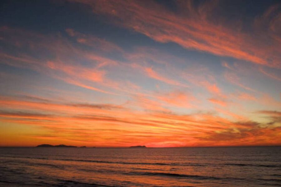 Fuengirola: Sunset Boat Tour with a Drink - The dolphin possibility, with no false promises