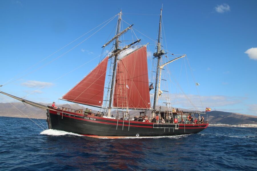 Fuerteventura: 4-Hour Pirate Sailing Adventure - Who will enjoy this cruise most