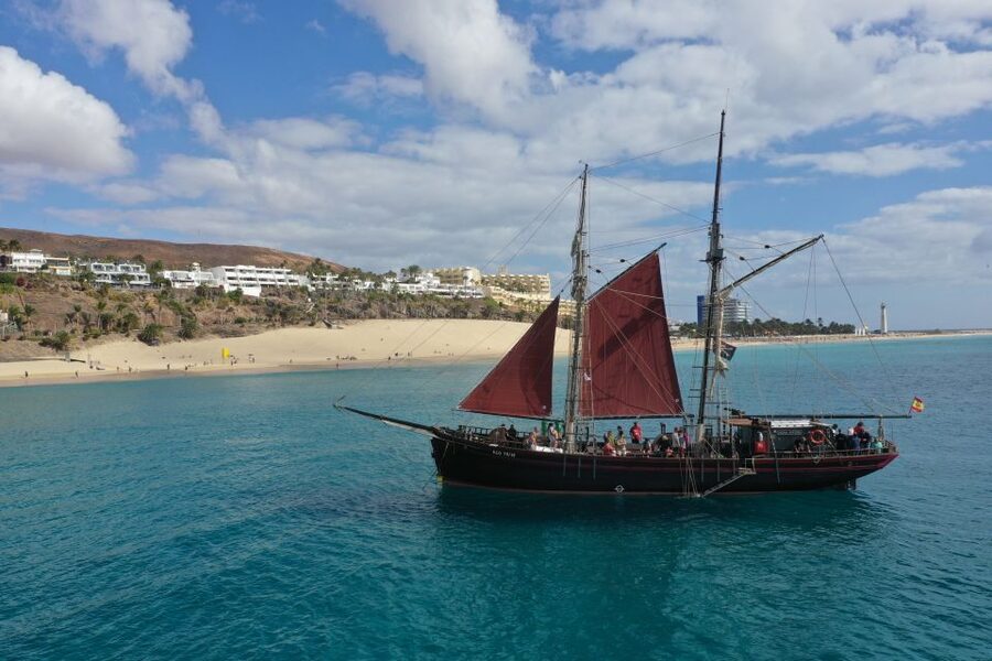 Fuerteventura: 4-Hour Pirate Sailing Adventure - Wildlife watching with a responsible angle