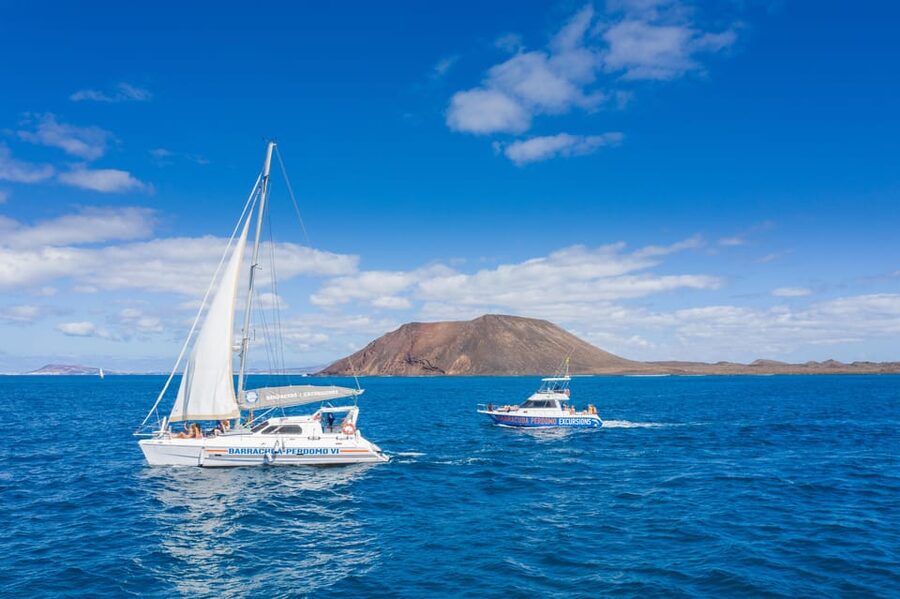 Fuerteventura : Catamaran excursion to Lobos Island - Quick points before you book