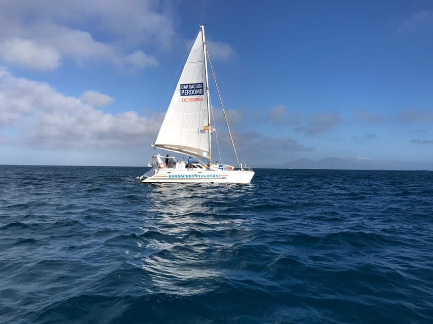 Fuerteventura : Catamaran excursion to Lobos Island - Paella, sangria, and an easygoing lunch afloat