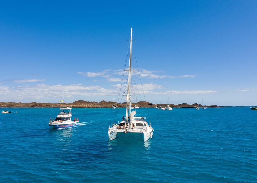 Fuerteventura : Catamaran excursion to Lobos Island - The crew makes the difference