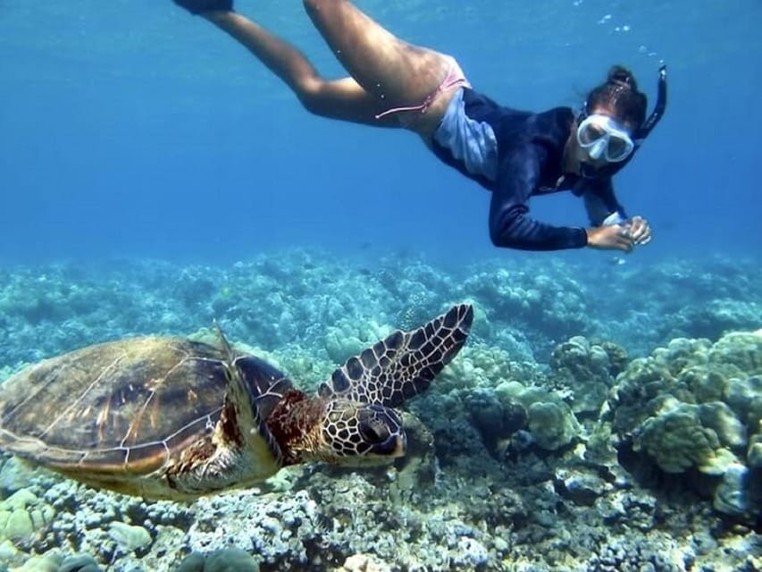 Fuerteventura : Catamaran excursion to Lobos Island - Practical tips for a better afternoon