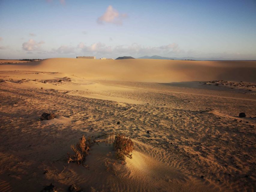 Fuerteventura: Corralejo Sand Dunes Guided Shore Excursion - Should you book the Corralejo dunes excursion?