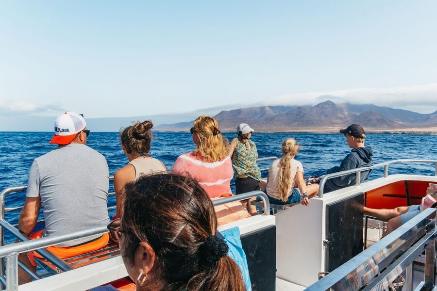 Fuerteventura: Glass Bottom Boat Cruise with Lunch & Drinks - Is $88 good value for four hours?