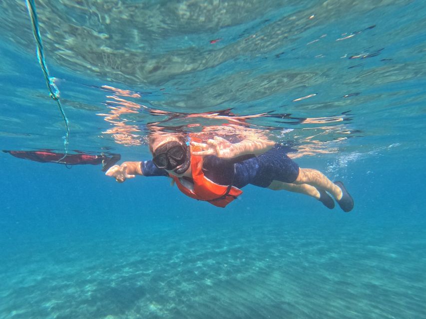 Fuerteventura: Guided Snorkeling in La Lajita with Pickup - Quick points to know