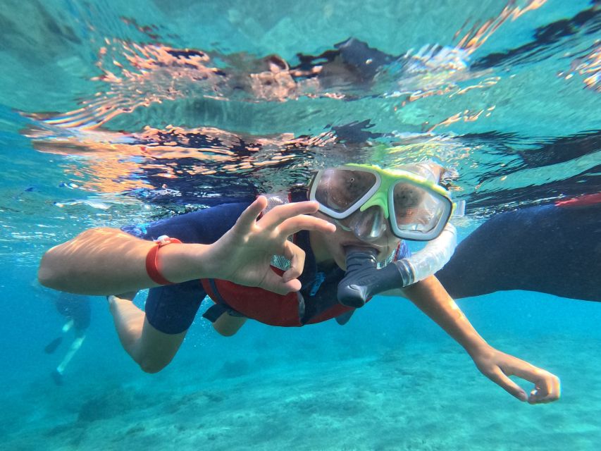 Fuerteventura: Guided Snorkeling in La Lajita with Pickup - Are the photos worth the extra cost?
