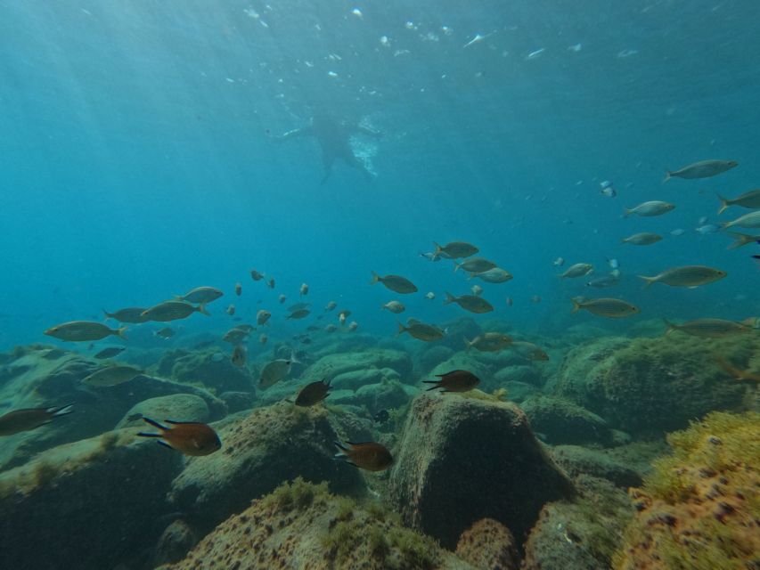 Fuerteventura: Guided Snorkeling in La Lajita with Pickup - Walking from the center to La Lajita Beach