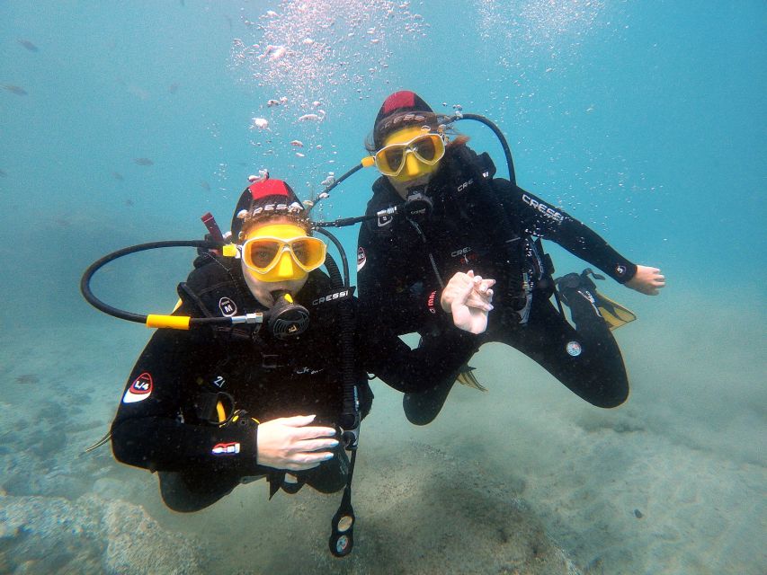 Fuerteventura: Introduction to Scuba Diving - Key points to know before booking