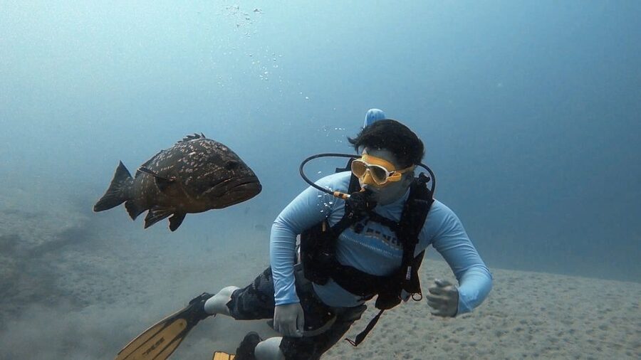 Fuerteventura: Introduction to Scuba Diving - Why this beginner scuba session works so well