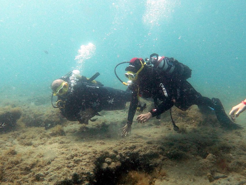Fuerteventura: Introduction to Scuba Diving - What you may see below the surface