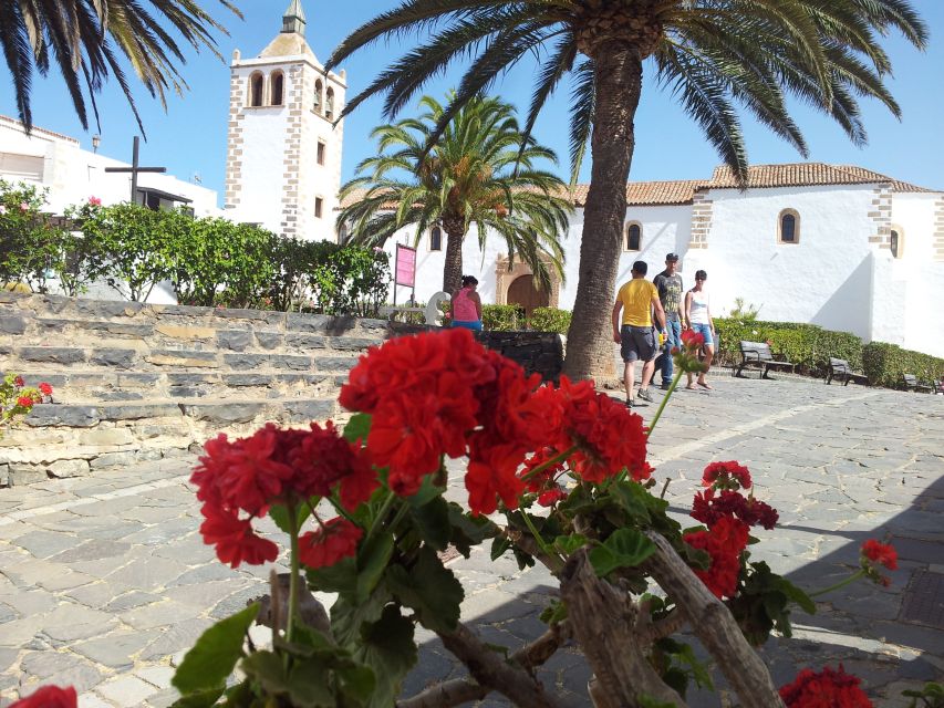Fuerteventura: Island Tour by Minibus - Who gets the best value from the $412 price?