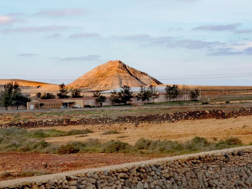 Fuerteventura: North of Fuerteventura for Cruise Passengers - What the guide adds to the experience