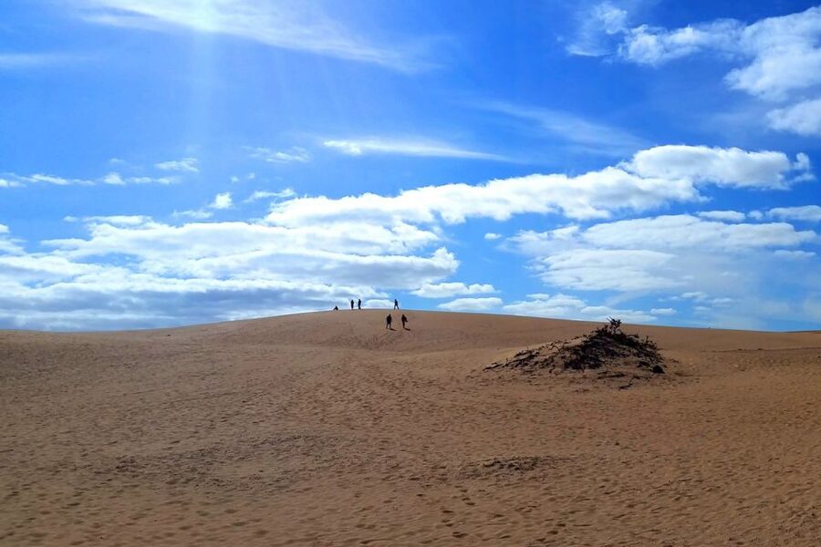 Fuerteventura: Panoramic Tour - Why this Fuerteventura day tour works