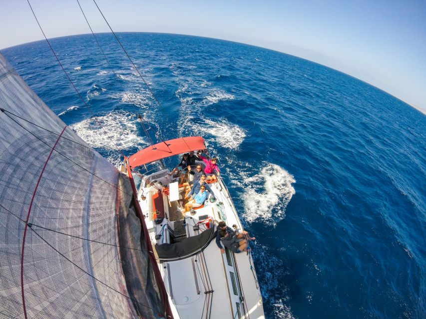Fuerteventura: Sailing with Snorkeling and Dolphin Watching - Wildlife watching without the theme-park feeling