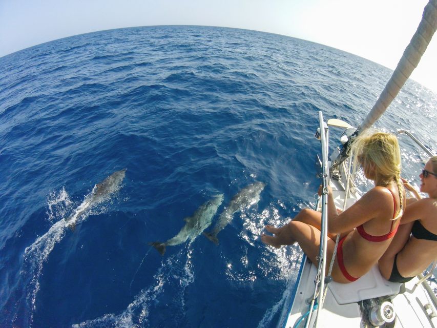 Fuerteventura: Sailing with Snorkeling and Dolphin Watching - The swim and snorkel stop near Morro Jable