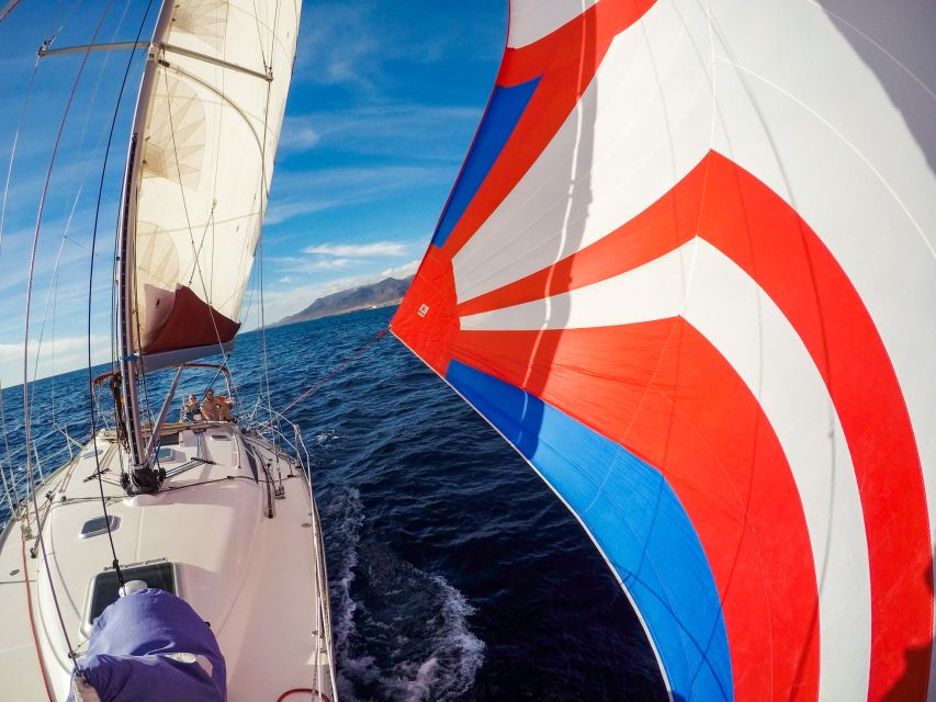 Fuerteventura: Sailing with Snorkeling and Dolphin Watching - Comfort, safety, and the practical bits